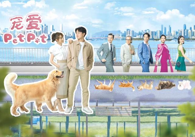 林夏薇|TVB台庆照为什么是林夏薇站C位？三个理由让人无法反驳
