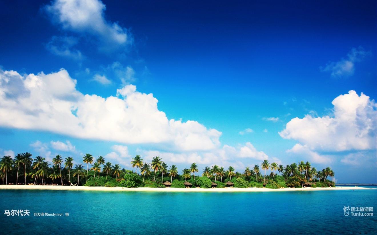 |职场规则大致上分为三类为大多数，不是因为不想被坑