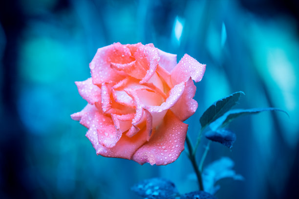 |职场人想要混得风生水起，这四个特质至关重要