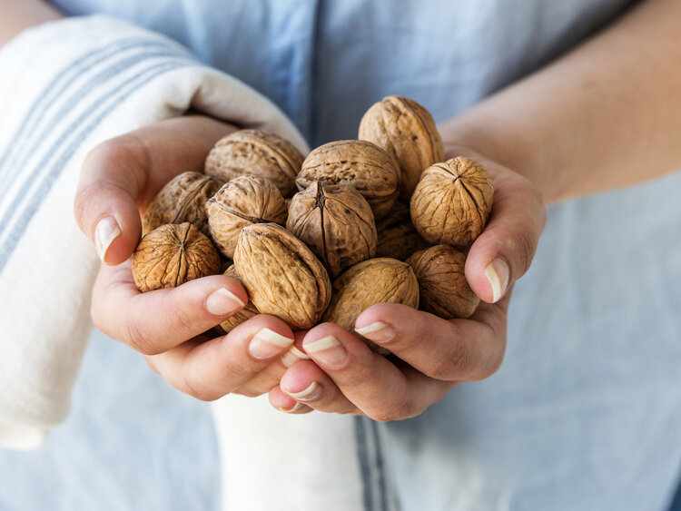 大脑|核桃被称为“血管清道夫”?为何有人说吃核桃不好?很多人吃错了