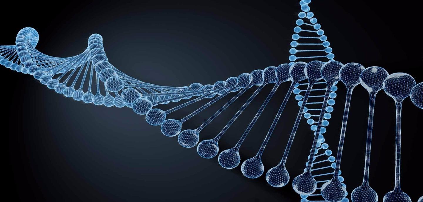 生物学和化学到底有哪些关系?