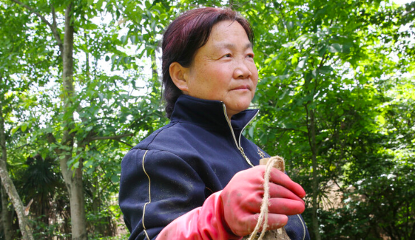 南瓜|南瓜是结节的“推手”？忠告：不想甲状腺受损，“2圆1扁”要少吃