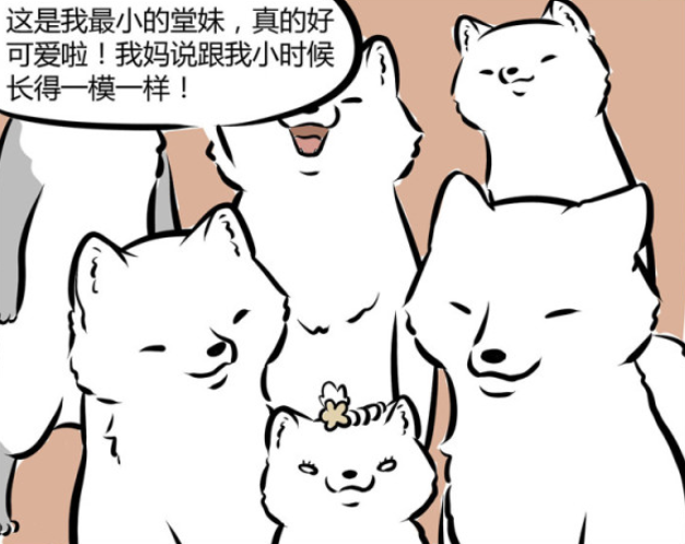 敖烈|非人哉:天道好轮回,苍天饶过谁,你们两个在这闹着玩呢啊!