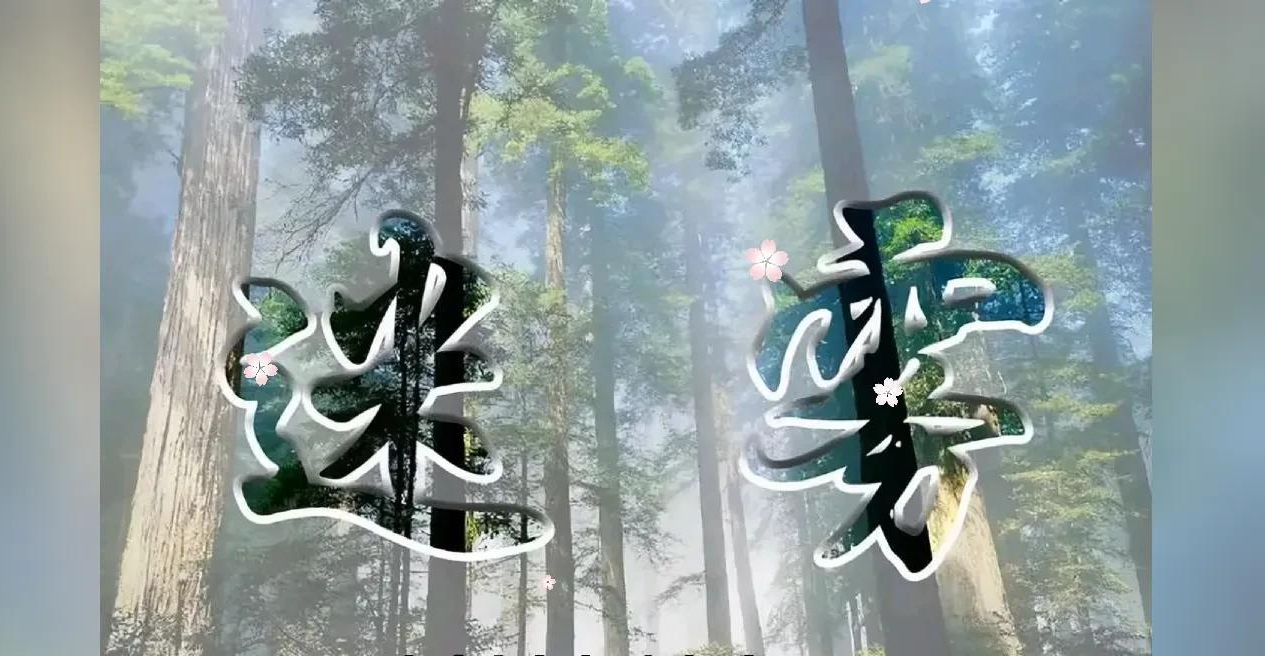 林允儿|胡鑫宇失踪案，脉络逐渐清晰，幕后大佬关系网已经浮出水面。