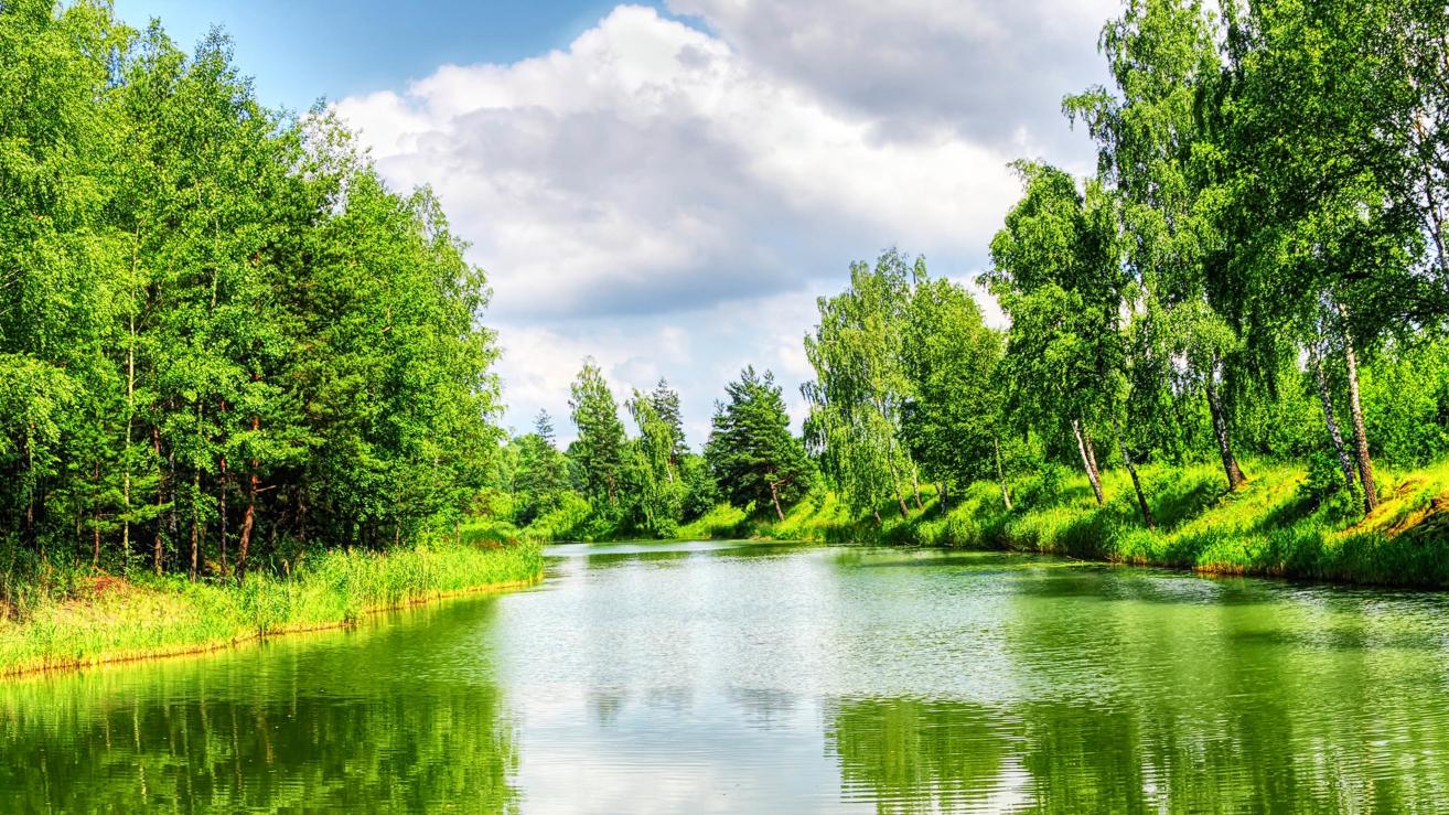 |工作中，领导不会听着自己唠叨，更不会听着自己说话