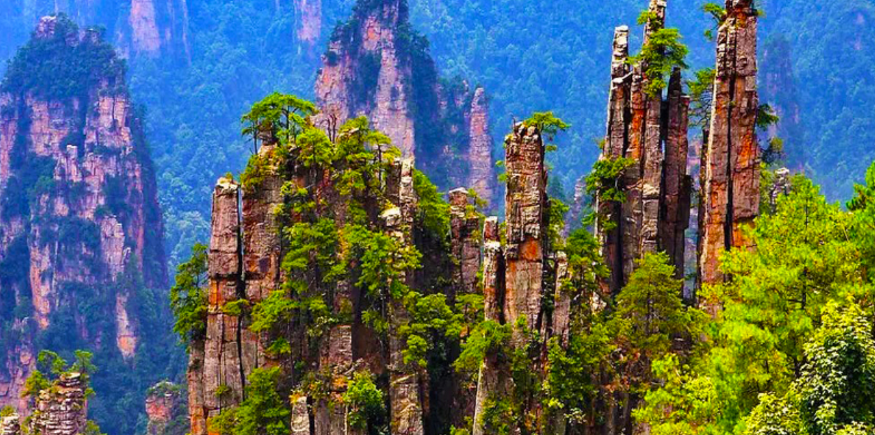 张家界|张家界,有什么好玩的地方,一起看看去吧。