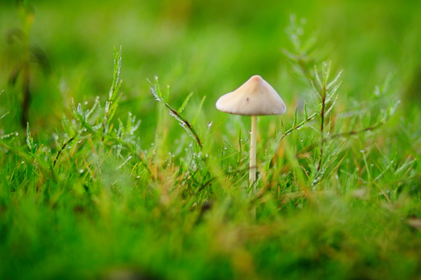 庞统|对感情很现实的星座,不会过度迷恋,也不会过于挑剔