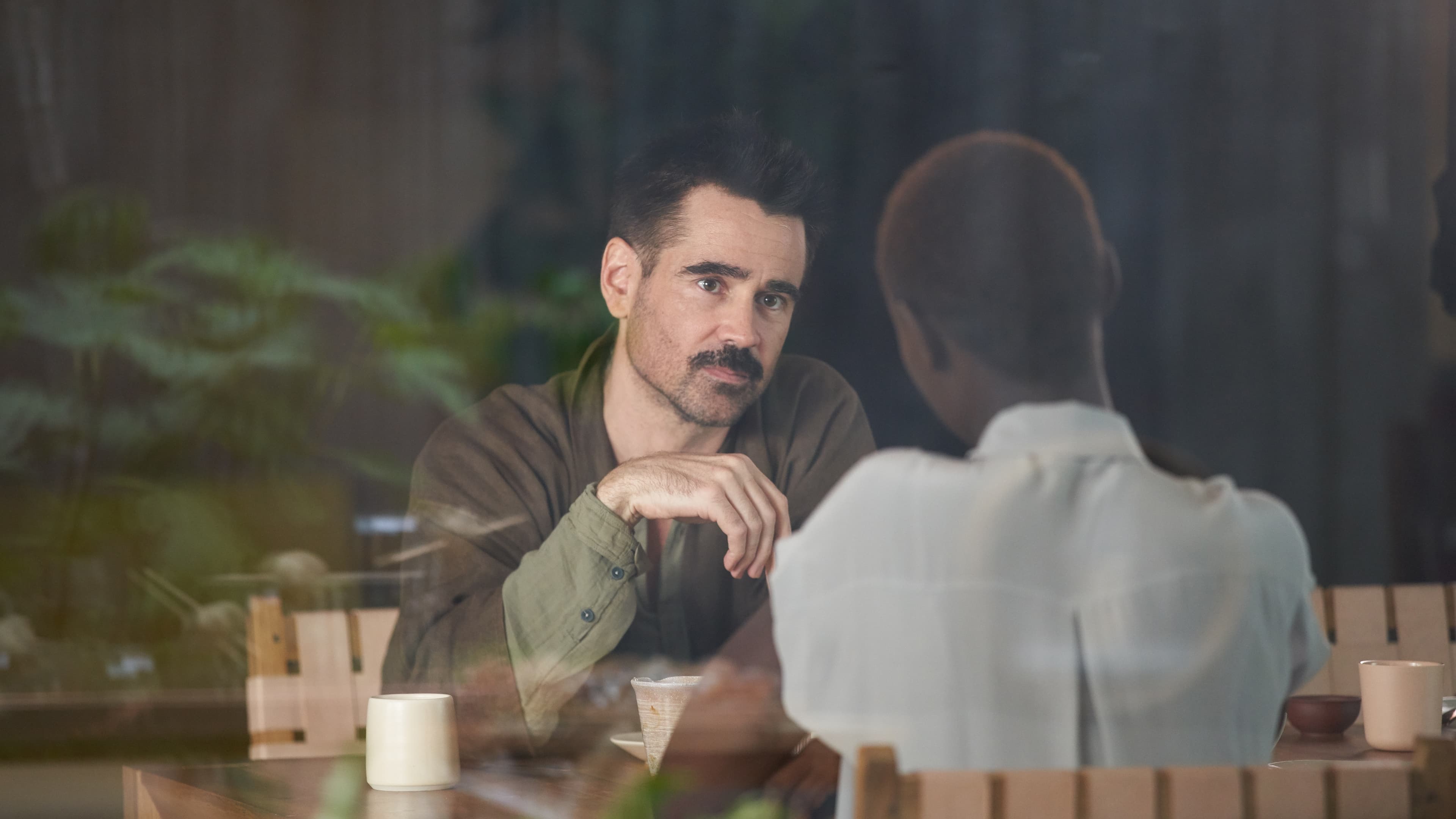 《杨之后》,茶叶每当被人喝的时候,都会散发出不同的味道