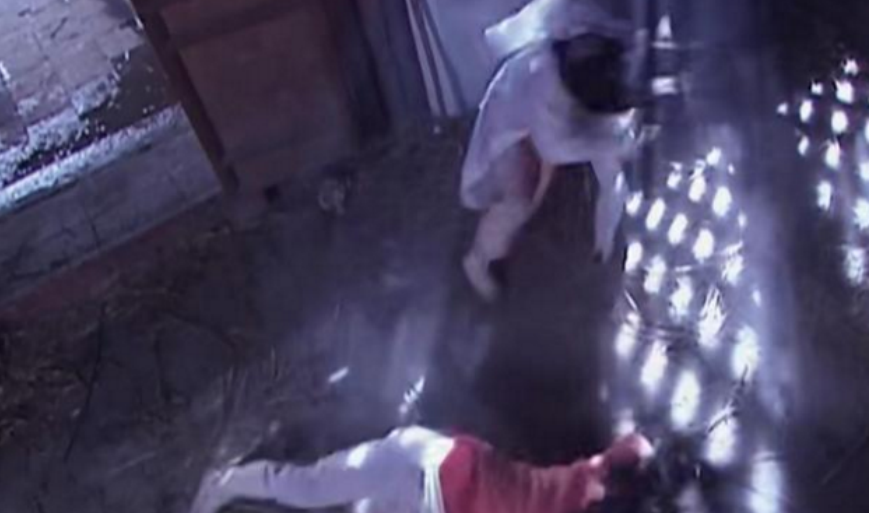 江玉燕|江玉燕：谁说反派活不到最后？戏都是“抢”过来的