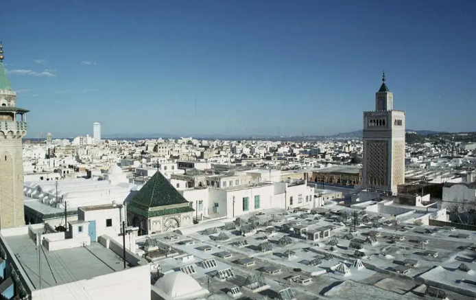 |突尼斯市，分为新城和旧城两部份，两城之间只一门之隔