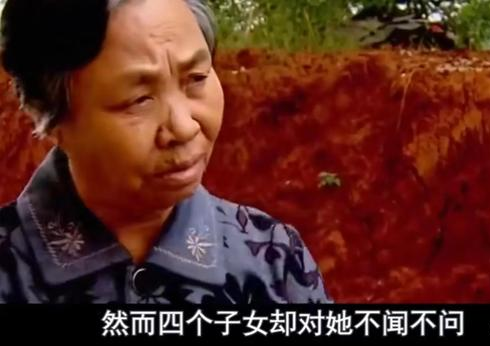 儿媳吃了婆婆一只鸡,婆婆大闹致儿媳自杀,如今养老无人管