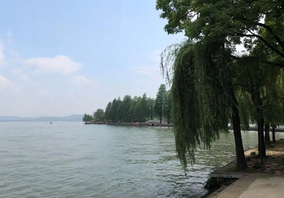 |东湖的特点是大，也因为其大，整体景观质量并不高