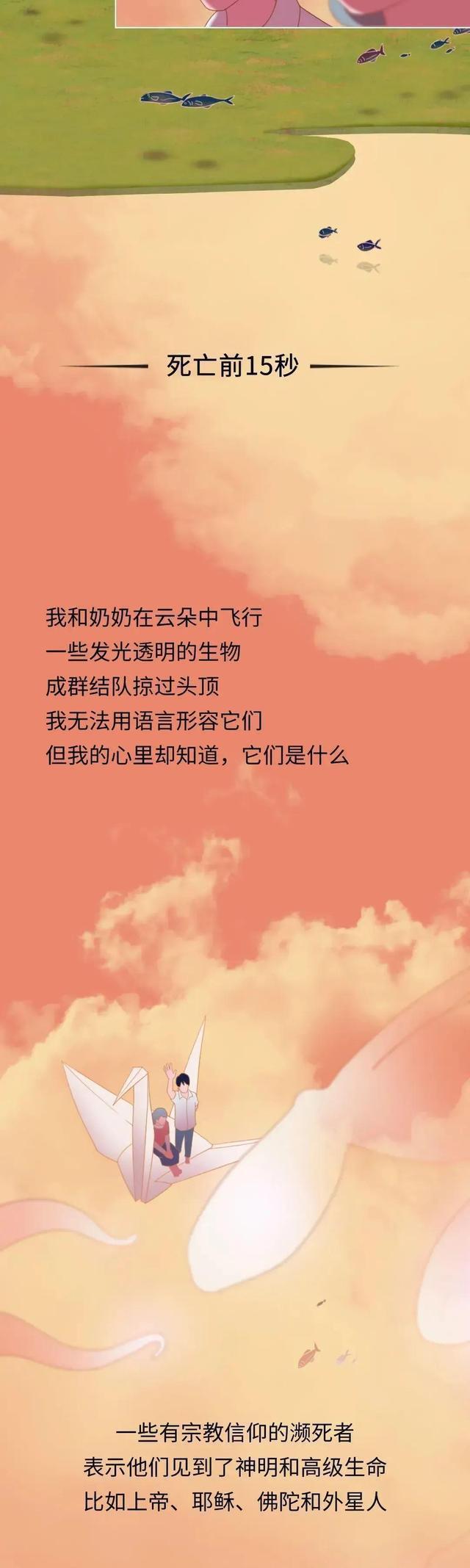 奇妙的旅程|死亡前的30秒，人会“看见”什么？漫画揭秘：一段奇妙的旅程