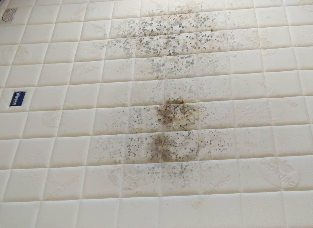 看过无数脏乱,前辈阿姨苦劝:这7样家用品早该扔掉,别用一辈子