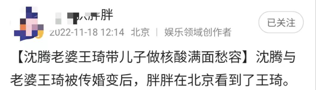王琦|沈腾妻子带娃做核酸被拍!肩膀宽厚身形发福,王妈颜值被力赞