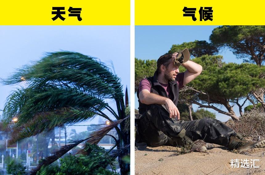 涨知识:存在明显差异,但经常被我们混淆的7对事物