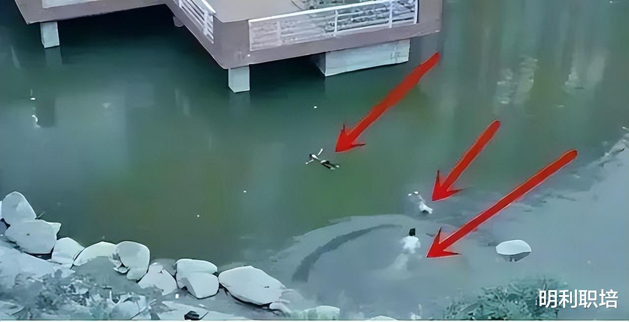 为什么现在做好事的门槛越来越高了?为什么大家都越来越冷漠了?