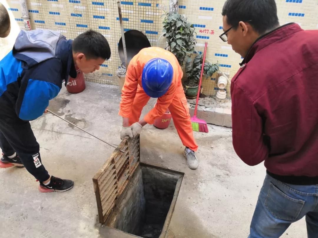 ?花蚊子到中国不足50年,人们已无法乘凉,它到底是何方神圣?