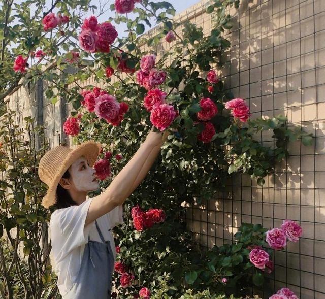 张馨予|35岁张馨予的家，在网上走红：家中栽满花草蔬菜，堪称世外桃源