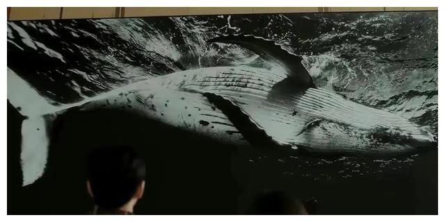 非常律师禹英禑|《非常律师禹英禑》真可惜，它最终还是沦为恋爱剧