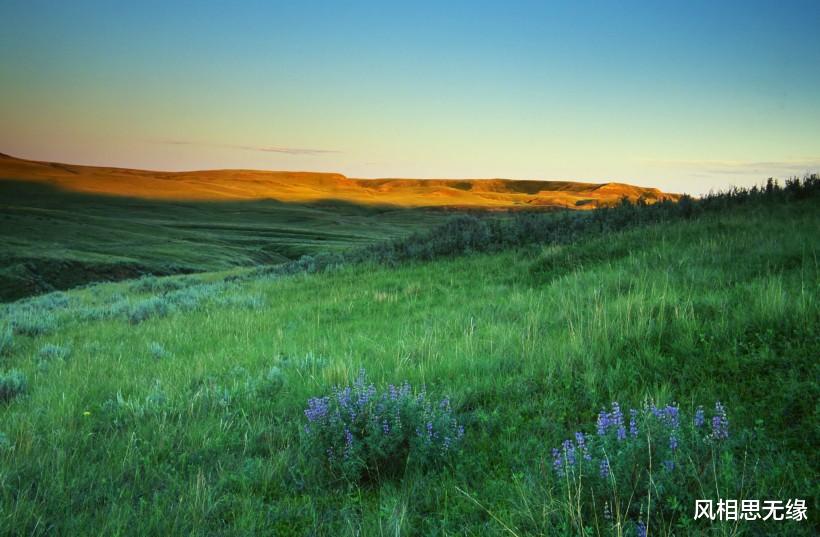 |有智慧,有眼界的星座,活得清醒,懂得把握和把握机会