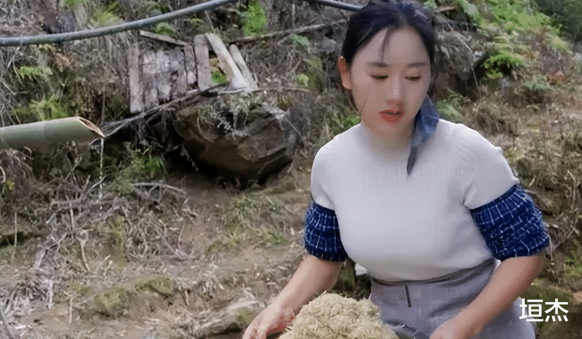 |乡愁沈丹为何那么红?从离异妇女到千万网红,如今身价超1000万