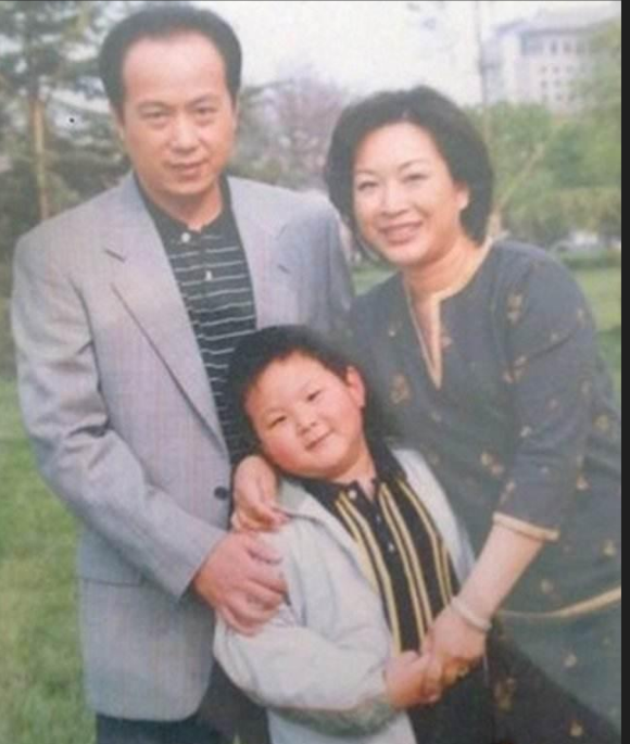罗京|罗京离世13年,为他哭到昏厥的妻子改嫁富商,生母至今不知死讯