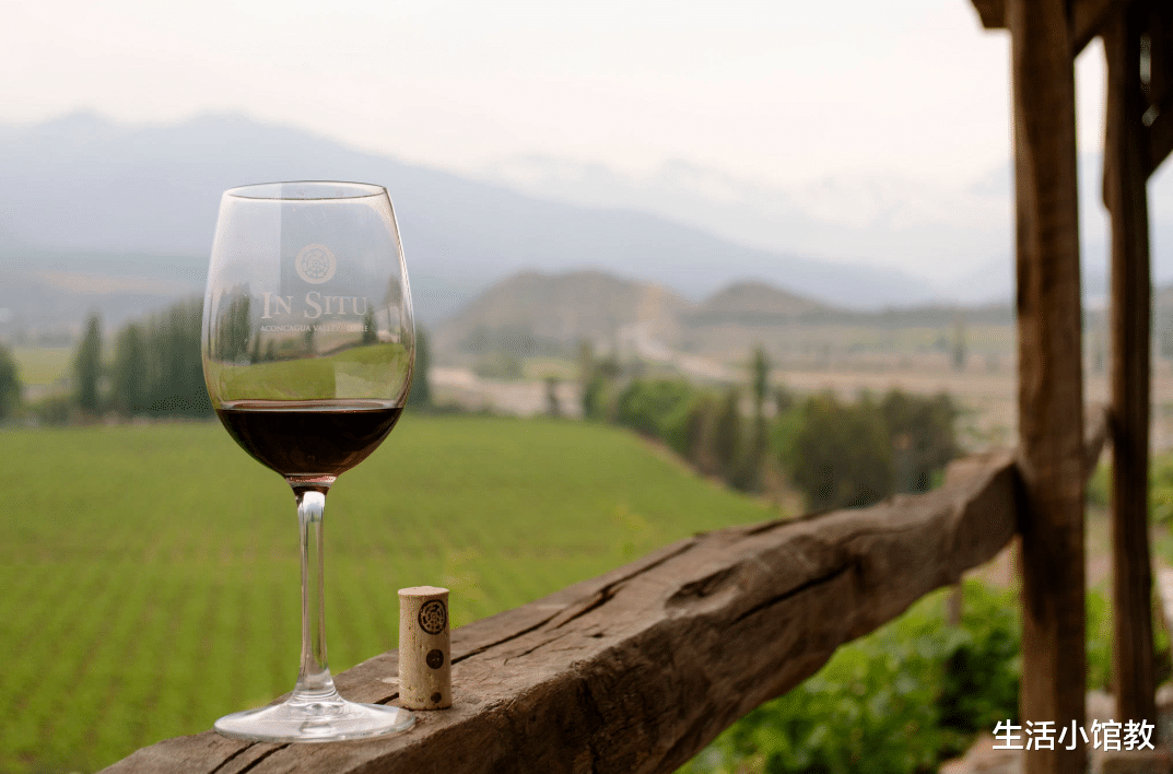 商超买红酒,若瓶身上有这“两大特征”,别碰就对了,导购:行家