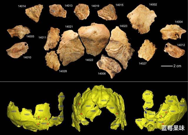 人类的进化史并不完整,缺失了13万年,这期间发生了什么?