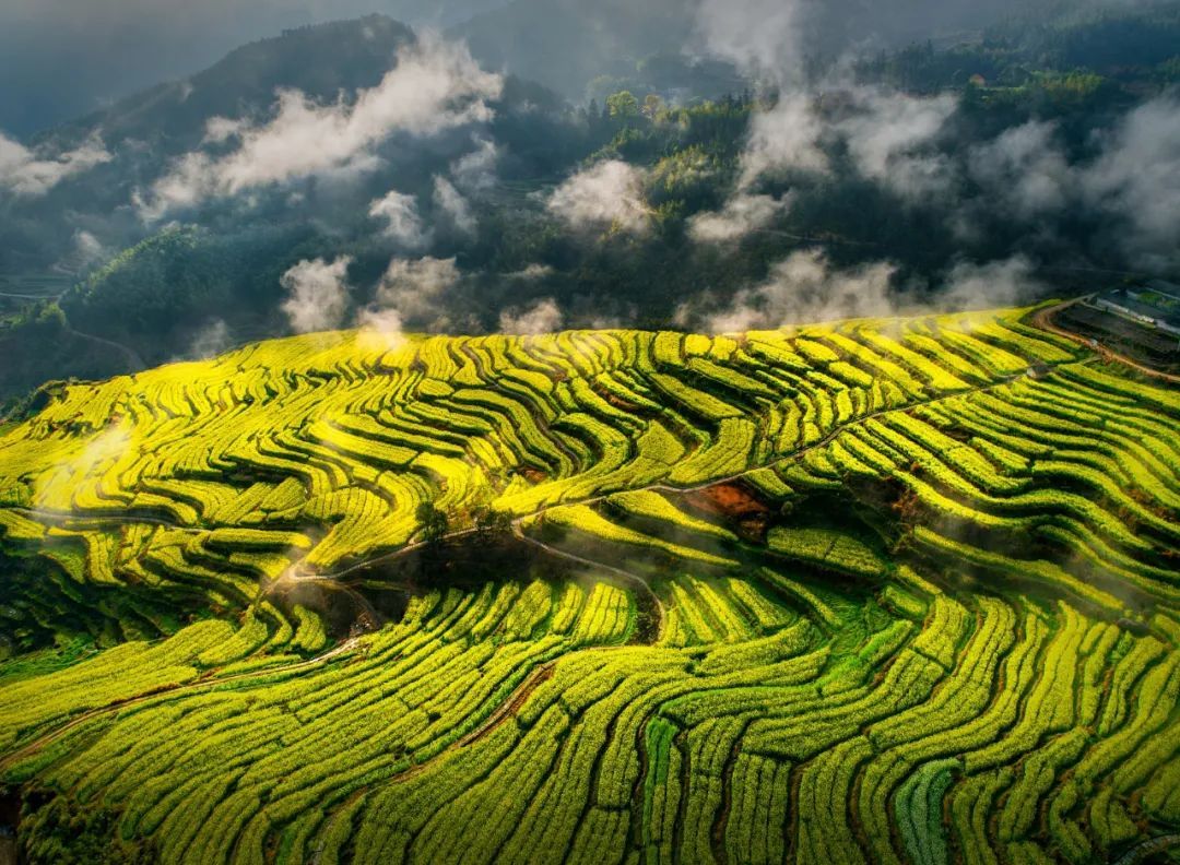 莽山|浙江丽水，藏于深山，隐于凡世！