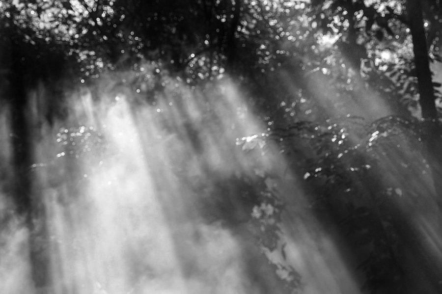 |猫巫先生十二星座周运2022年10.3-10.9：水逆结束啦！