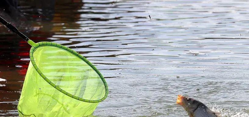 大板|钓鱼:需要自我遵守的9条规矩