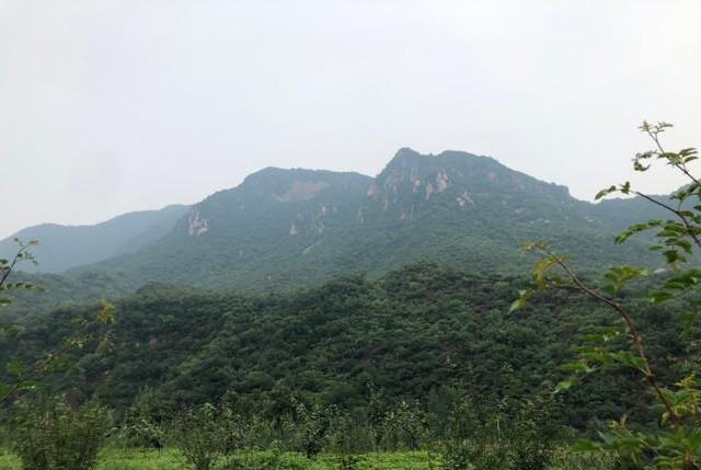 星座爱情观|今年八月降雨多吗？老话说：“八月三卯三庚，麦出底坑”，啥意思