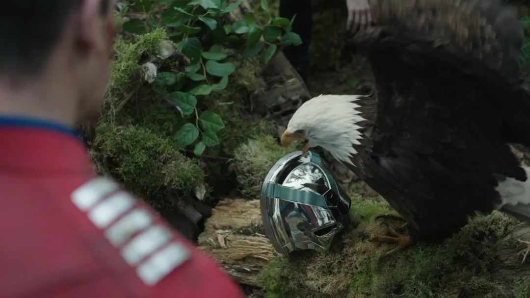 蝴蝶|和平使者第8集,染胡哥前入敌营,黑妹大杀四方,完结撒花