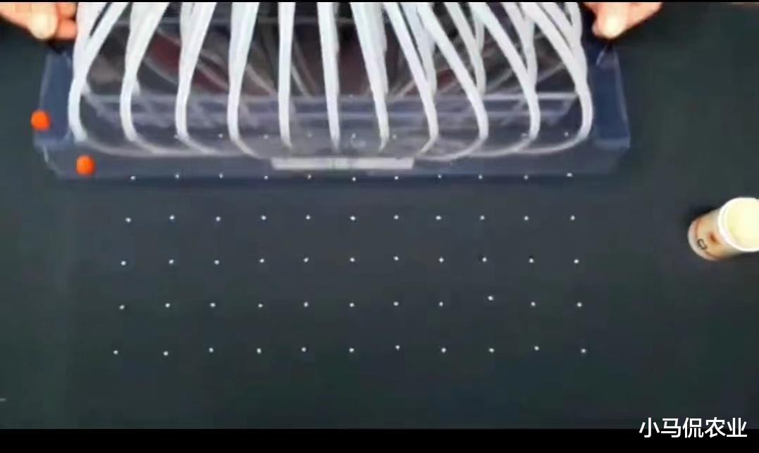 欧洲家庭农场10大播种工具，小而美效率提升50倍，小工具大智慧