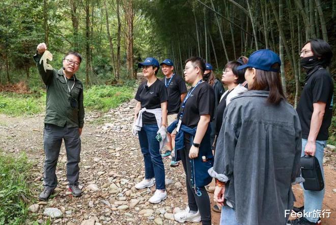 高峰|不是黄山！不是宏村！这个皖南小众秘境太惊喜，仿佛闯入绿野仙踪