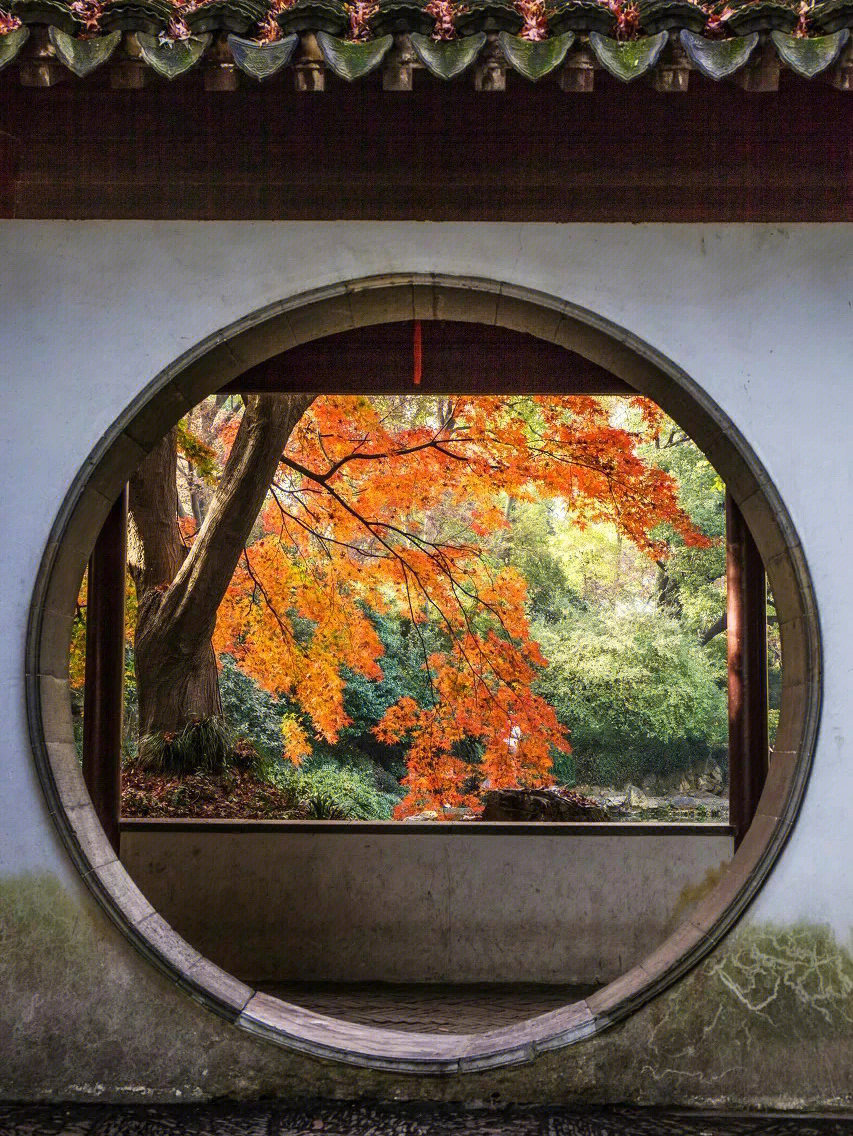 苏州|分享我秋天最爱的6个城市