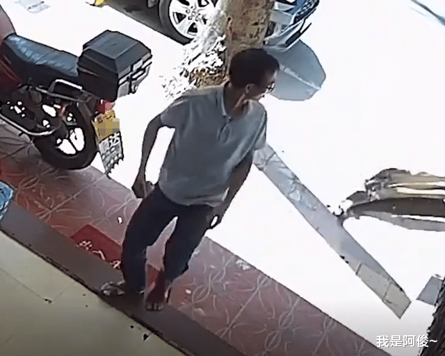 广东一女子看店被一声巨响吓坏,以为是高空抛物,定睛一看是树叶