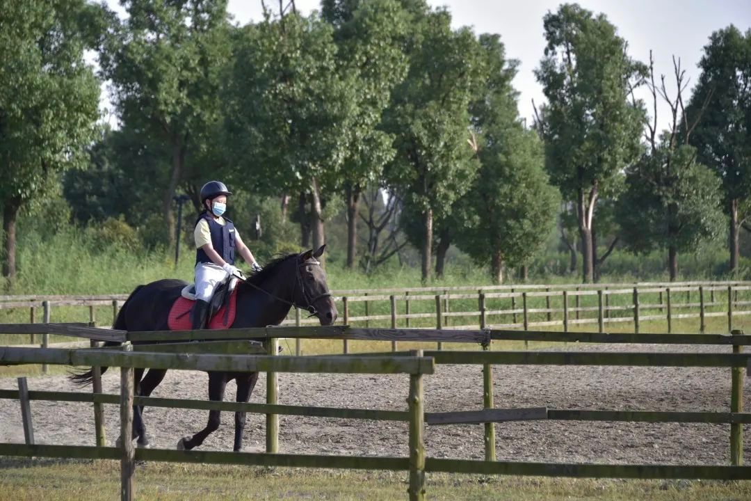 桐乡|假期去哪玩?桐乡这条旅游线路向全国推介!