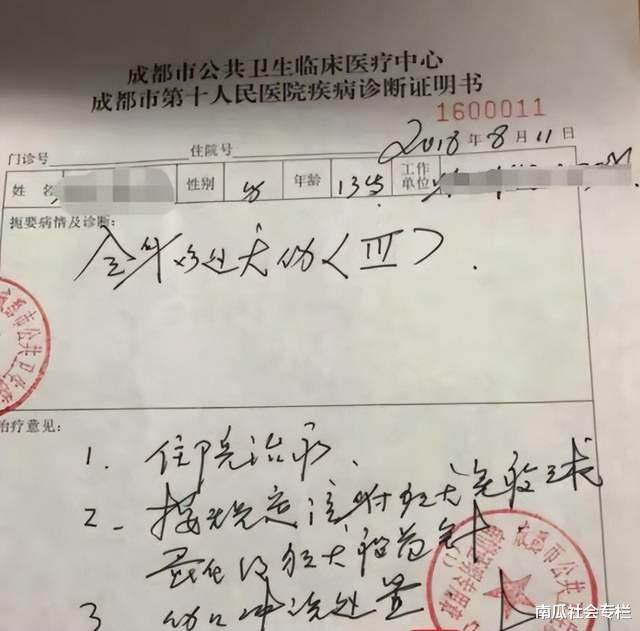 舞蹈老师公共场所遛狗不牵绳,路人提醒被围攻后续:舞馆被迫歇业