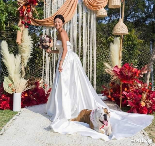 吴浩康|恭喜!香港知名歌手今日大婚,靓模妻子腹部隆起已怀孕3个月