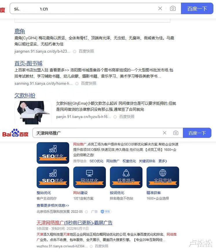 百度|天涯论坛出租多级目录做搜索霸屏