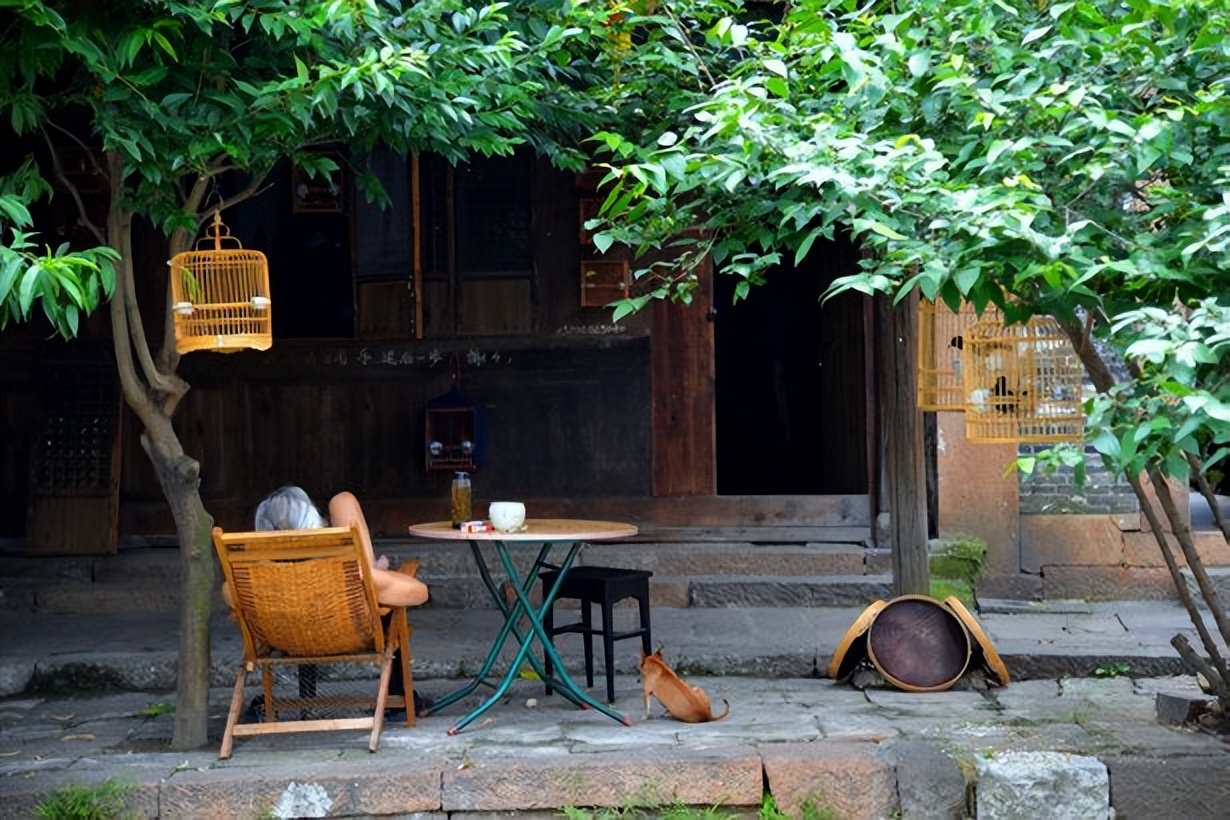 |守一间小院,闲坐摇扇听荷声,盛夏微凉于此间