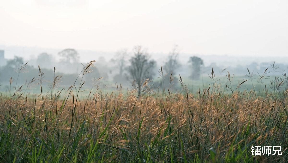 |跨越35岁、40岁的职场焦虑