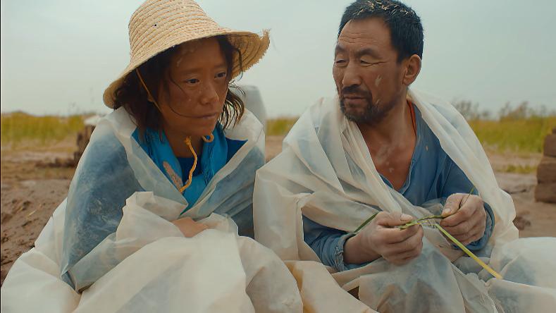 隐入尘烟|《隐入尘烟》票房过亿，网友质疑导演故意制造苦难，其实你没看懂