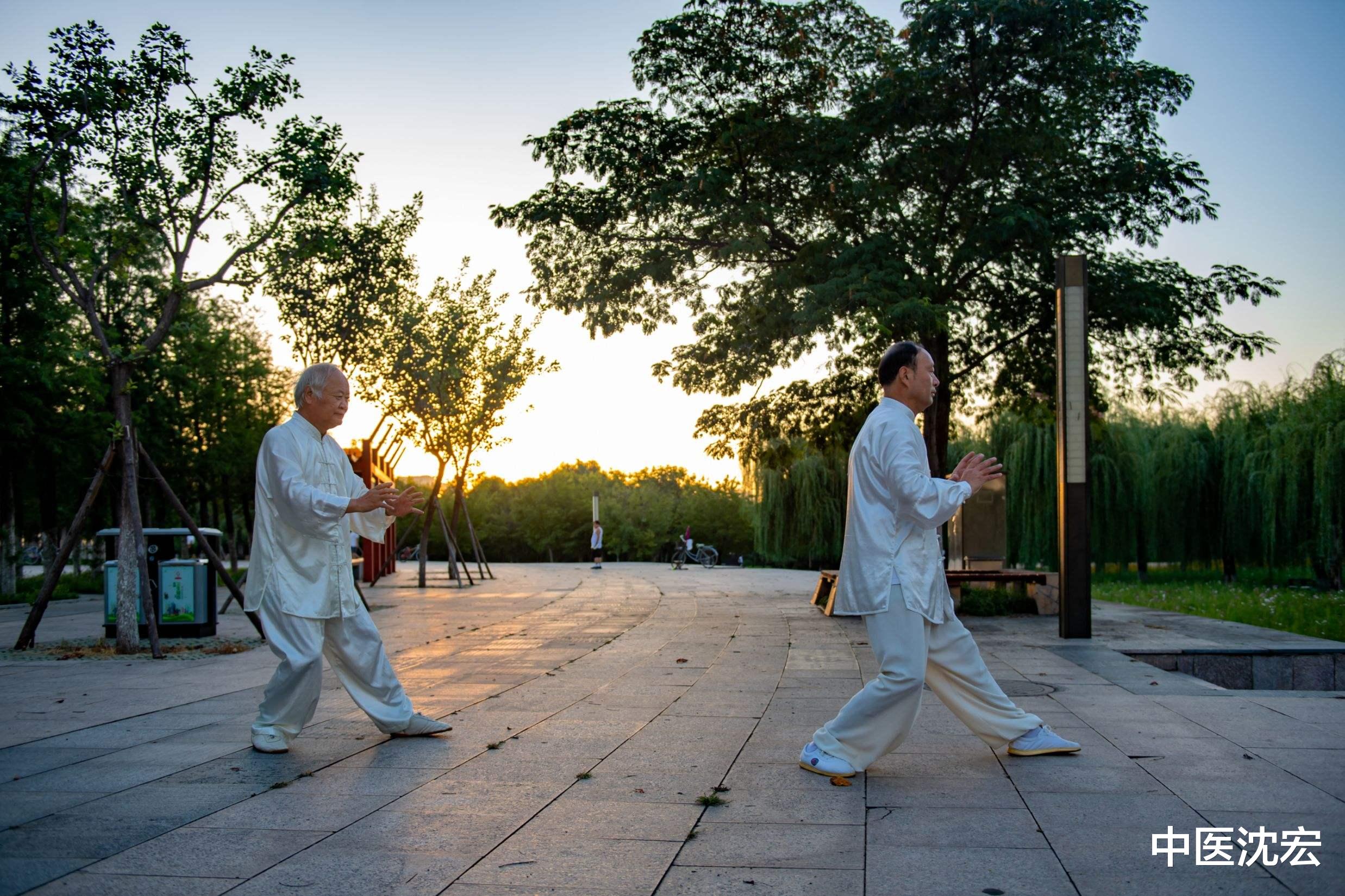 附子|肾阳足命长，心阳足命久，张仲景3味药，补阳气，起死回生