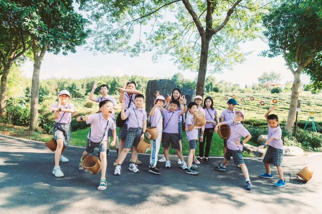 |徽州区：茶博五一享美味 平安无疫醉花海