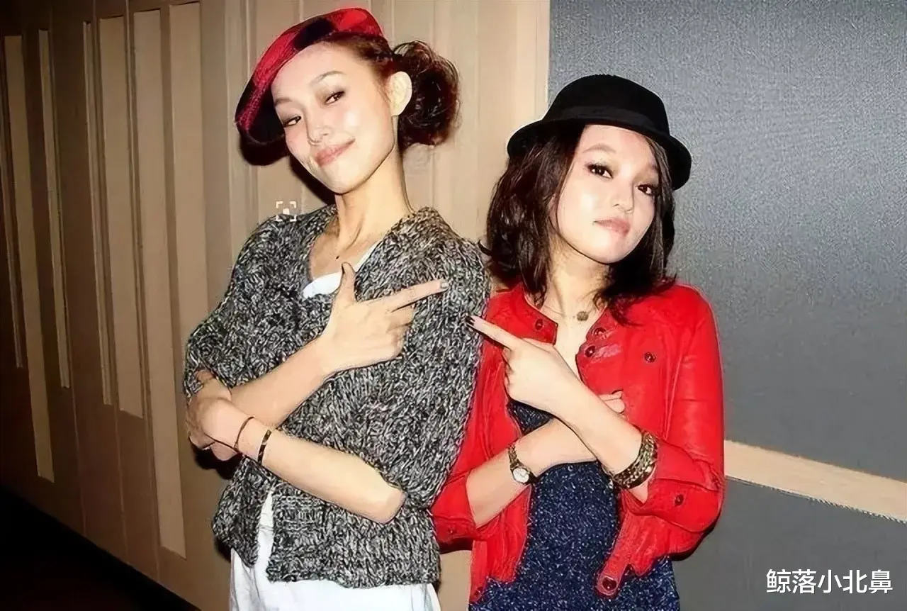 张歆艺|娱乐圈里大快人心的现世报