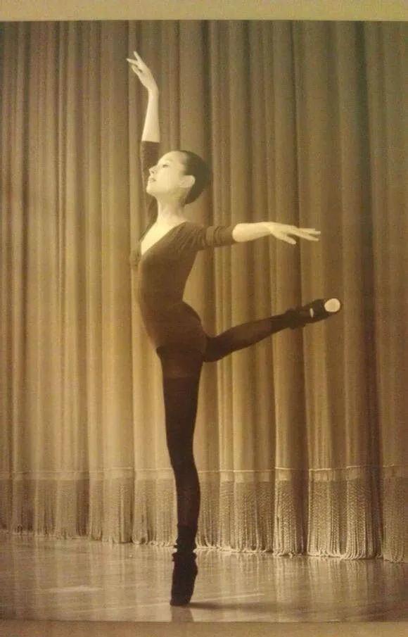 董洁|董洁的悲惨，是在“白天鹅”被“癞蛤蟆”吃到时，就已经注定了的