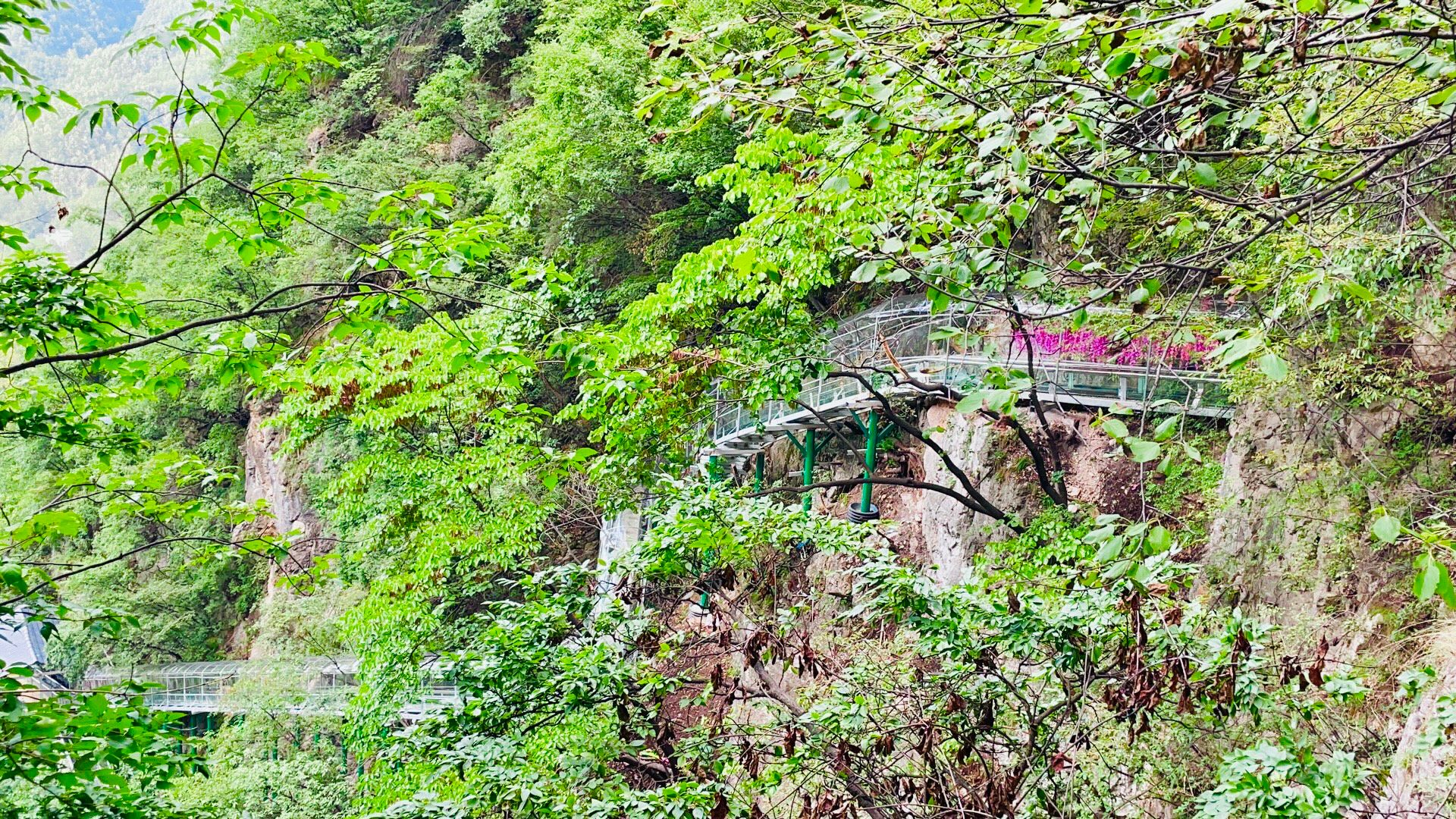 伊川|洛阳栾川旅游必去打卡的景点，趁着凉快带孩子和家人去，景色超美